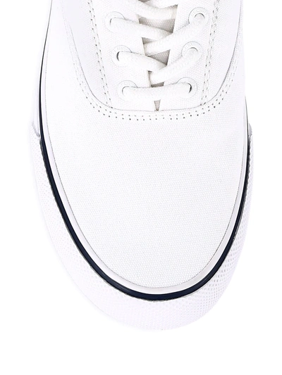 Shop Sperry Striper Cvo Pride Canvas Sneakers In White Multi