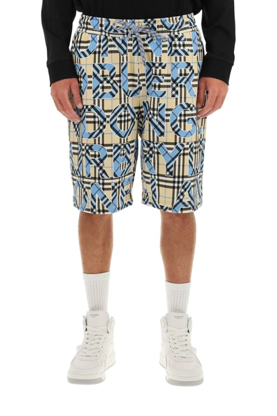 Shop Burberry Lenford Vintage Check Shorts In Mixed Colours