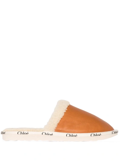 Shop Chloé Logo-tape Detail Round-toe Slippers In Brown