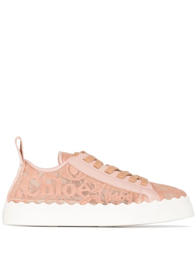 Shop Chloé Lauren Lace Low-top Sneakers In Pink