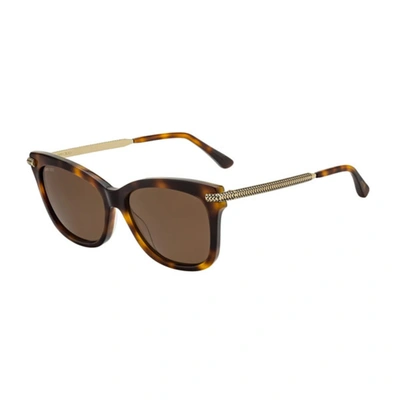 Shop Jimmy Choo Ladies Tortoise Cat Eye Sunglasses Shade/s C9b 55 In Brown,tortoise