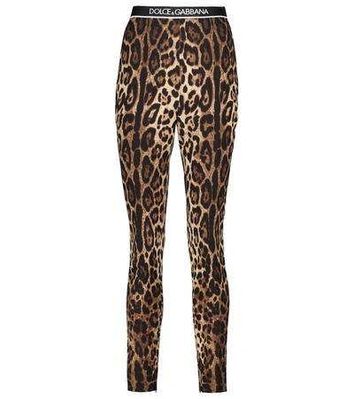 Shop Dolce & Gabbana Leopard-print Stretch-silk Leggings In Multicoloured