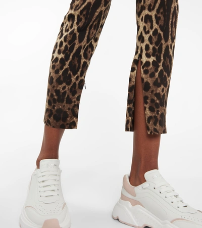 Shop Dolce & Gabbana Leopard-print Stretch-silk Leggings In Multicoloured