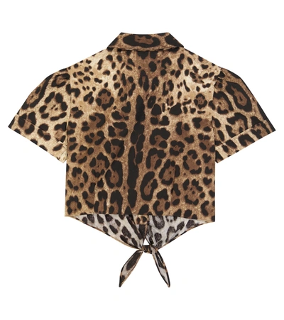 Shop Dolce & Gabbana Leopard-print Cropped Cotton Shirt In Brown