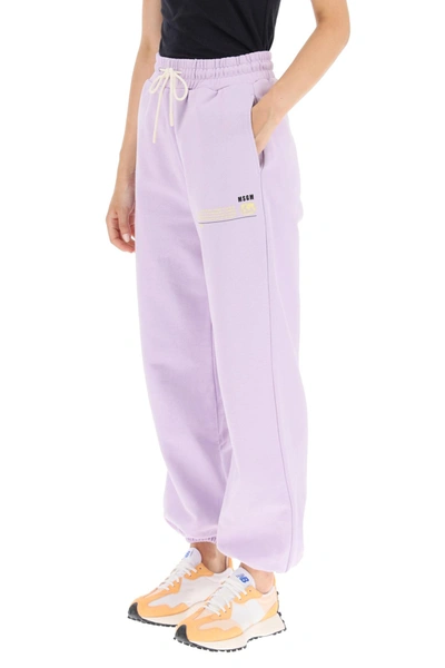 Shop Msgm Jogger Pant In Organic Cotton In Purple