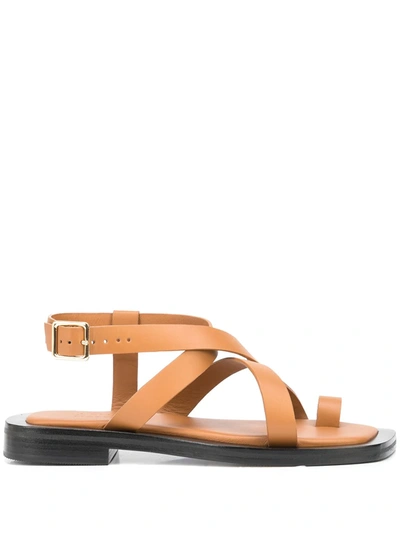 Shop A.emery Buckle Ankle-strao Sandals In Braun
