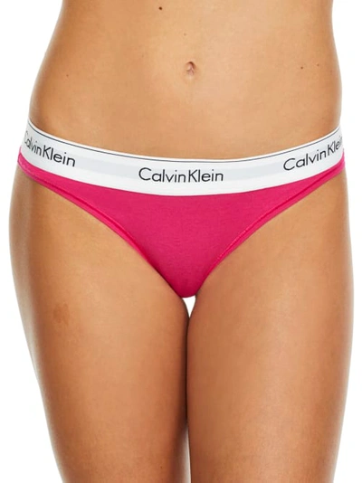 Shop Calvin Klein Modern Cotton Thong In Party Pink
