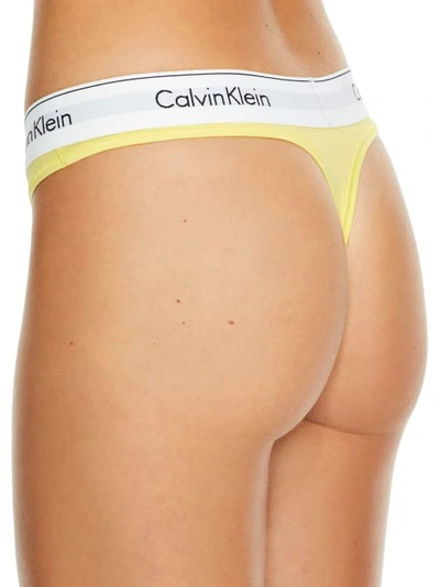 Shop Calvin Klein Modern Cotton Thong In Pop Yellow