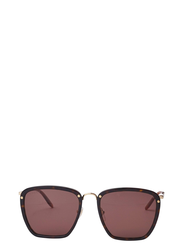 Gucci Gg0673s Dark Havana Sunglasses | ModeSens