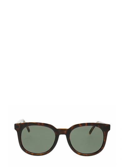 Shop Saint Laurent Sl 405 Dark Havana Sunglasses