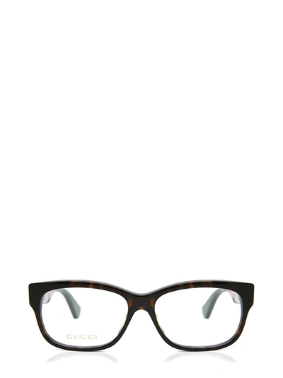 Shop Gucci Gg0278o Dark Havana Glasses