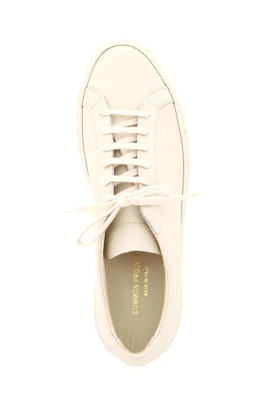 Shop Common Projects Original Achilles Low Sneakers In Beige