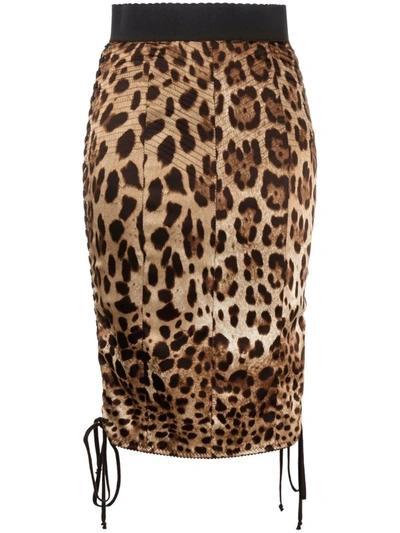 Shop Dolce & Gabbana Leopard-print Stretch-silk Skirt In Braun