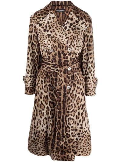 Shop Dolce & Gabbana Leopard-print Belted Trench Coat In Braun