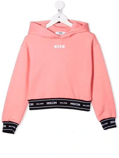 Msgm Logo Cotton Sweatshirt Hoodie In 粉色