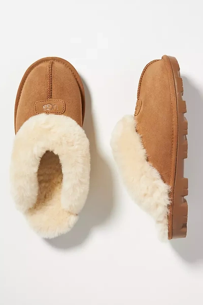 Shop Ugg Coquette Slippers In Brown