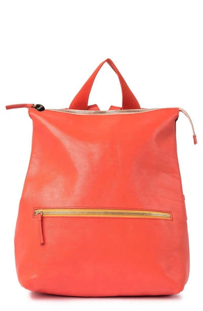 Clare V, Bags, Clare V Remi Backpack