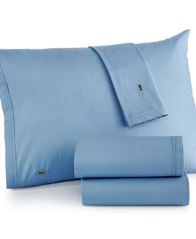 Shop Lacoste Home Solid Cotton Percale Sheet Set, Twin In Allure Blue