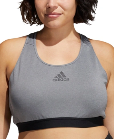 Shop Adidas Originals Adidas Plus Size Don't Rest Alphaskin Padded Sports Bra In Dark Grey Heather/black