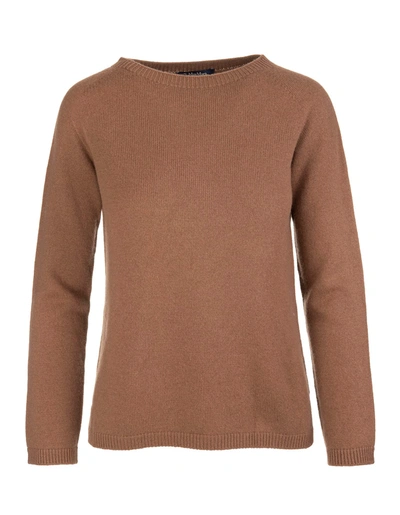 Shop 's Max Mara Brown Giose Sweater In Marrone