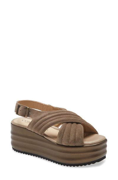 Cordani Yvonne Platform Sandal In Brown ModeSens