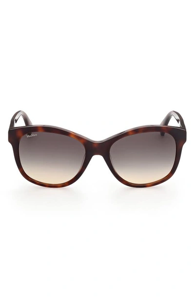 Shop Max Mara 56mm Butterfly Sunglasses In Dark Havana / Gradient Smoke