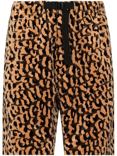 Belted Leopard-print Cotton-velour Shorts In Brown