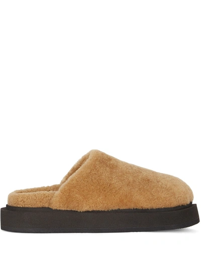 Shop Giuseppe Zanotti Swanilda Round-toe Mules In Brown