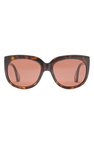 Gucci 57mm Fashion Sunglasses In Havana Havana Brown