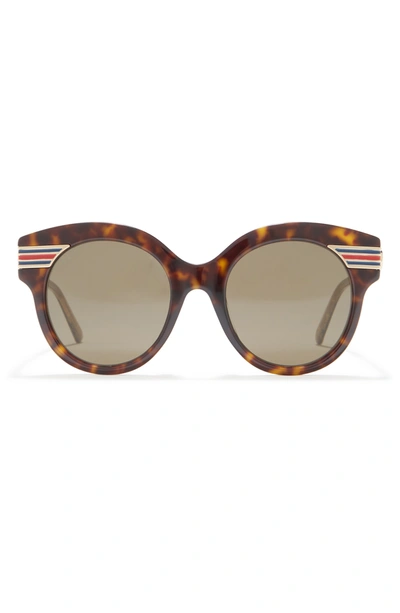 Shop Gucci 52mm Round Sunglasses In Havana/trn