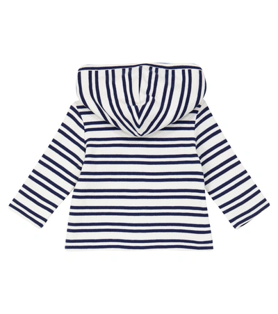 Shop Polo Ralph Lauren Baby Striped Cotton Hoodie In Blue