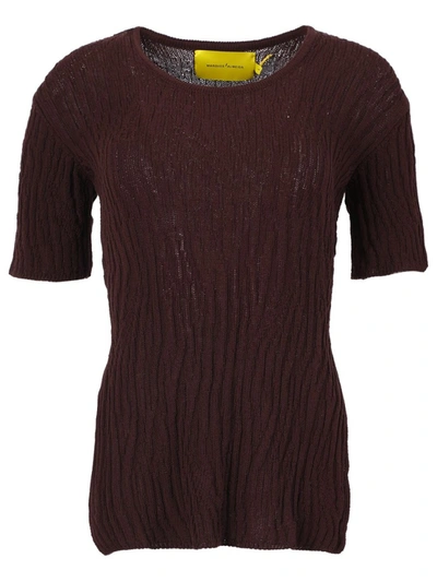 Shop Marques' Almeida Open Back Knit Top In Brown