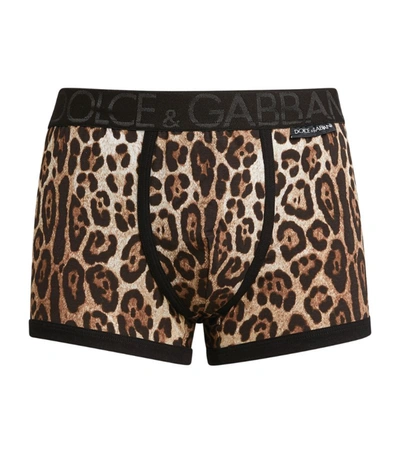Shop Dolce & Gabbana Cotton Leopard Boxers In Multi