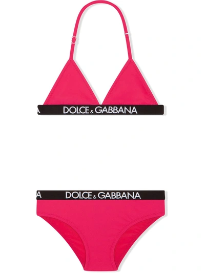 Shop Dolce & Gabbana Logo-elastic Triangle Bikini In Pink