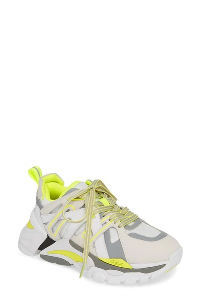 Shop Ash Sneaker In White/ Silver/ Yellow