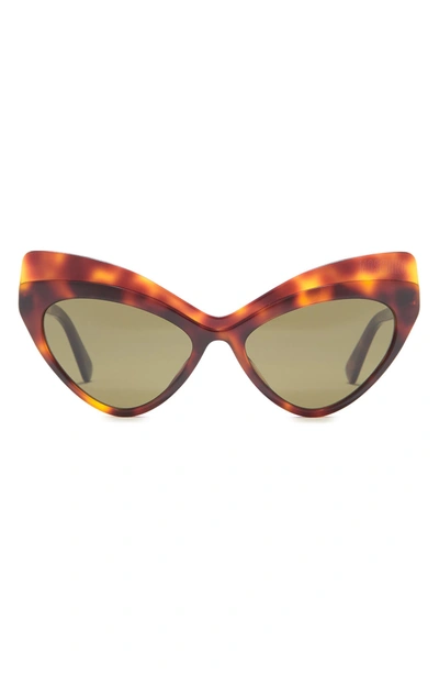 Shop Moschino 54mm Cat Eye Sunglasses In Hvnbrwyll / Green
