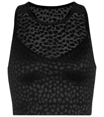 Shop Adam Selman Sport Stretch-nylon Crop Top In Black