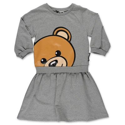 Shop Moschino Mosсhino Kids Teddy Bear Printed Sweatshirt Dress In Grey