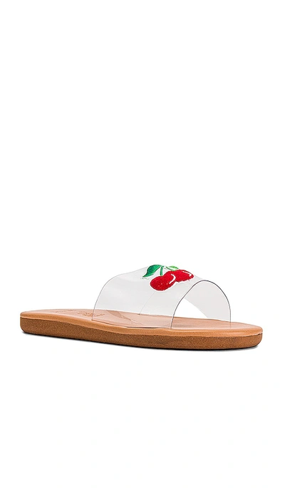 Shop Ancient Greek Sandals Taygete Clear Cherry Sandal. - In Transparent