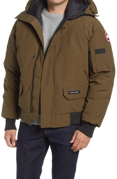 Shop Canada Goose Chilliwack 625 Fill Power Down Hooded Bomber Jacket In Military Green