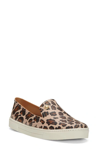 Shop Vince Camuto Margeta Slip-on Sneaker In Natural Leopard Print