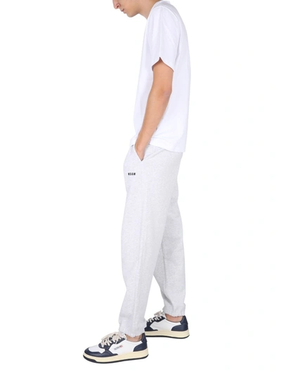 Shop Msgm Jogging Pants With Logo In Grey