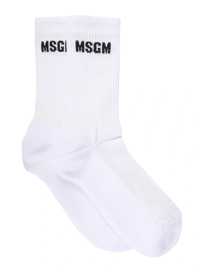 Shop Msgm Socks With Micro Logo In Bianco