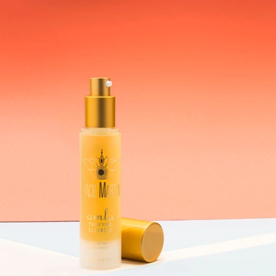 Tracie Martyn Amla Purifying Cleanser (1.69 Fl. Oz.)