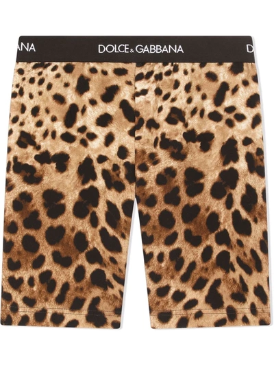 Shop Dolce & Gabbana Interlock Leopard-print Cycling Shorts In Brown