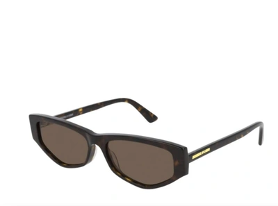 Shop Alexander Mcqueen Mq0250s Havana Sunglasses