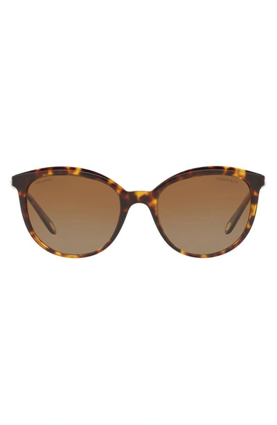 Shop Tiffany & Co Phantos 54mm Polarized Cat Eye Sunglasses In Dark Havana/ Brown Grad
