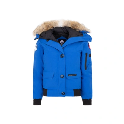 Shop Canada Goose Chilliwack Bomber Jacket Wintercoat In Blue
