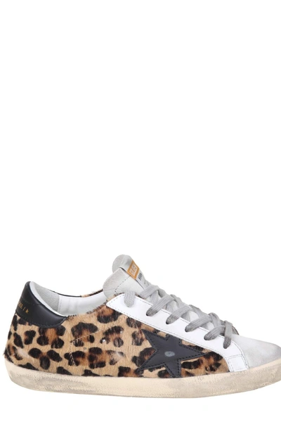 Shop Golden Goose Deluxe Brand Superstar Leopard Print Sneakers In Multi