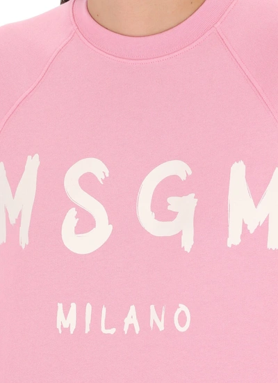 Shop Msgm Sweaters Pink